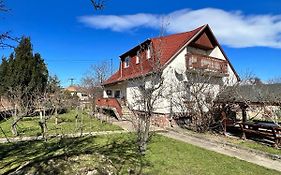 A Festo Vendeghaza / The Painter'S Guest House